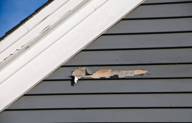 Best Insulated Siding Installation  in Indian Hills, KY