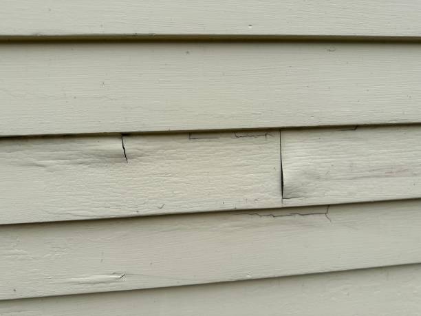 Best Storm Damage Siding Repair  in Indian Hills, KY